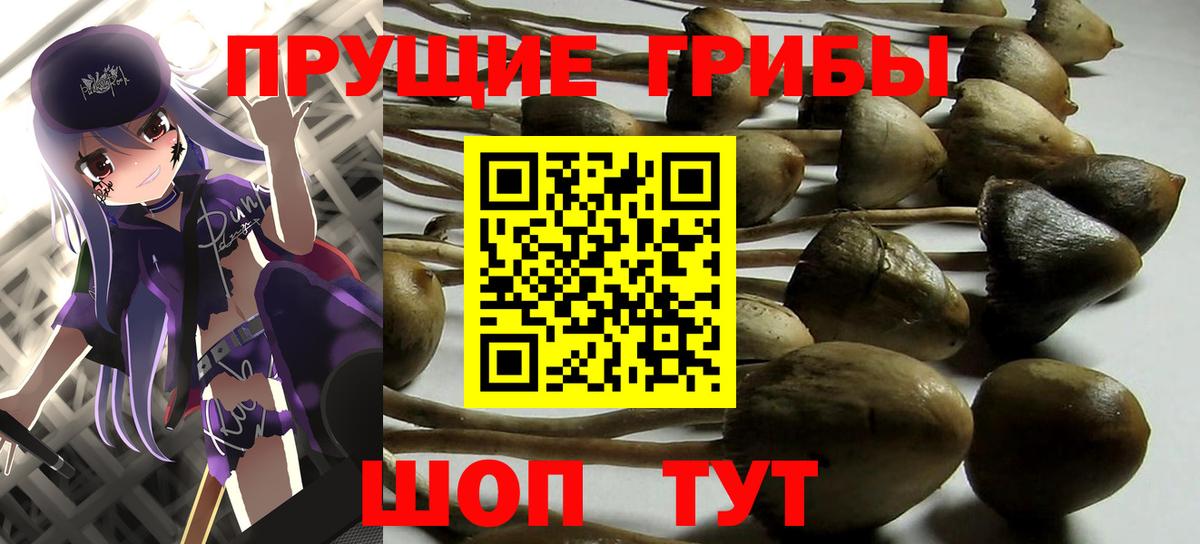 Псилоцибиновые грибы Cubensis  Псилоцибиновые грибы Cubensis  Вход с VPN  Коломна 